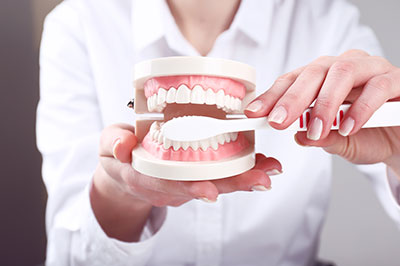 The image shows a person holding a dental model with a toothbrush, demonstrating oral hygiene practices.